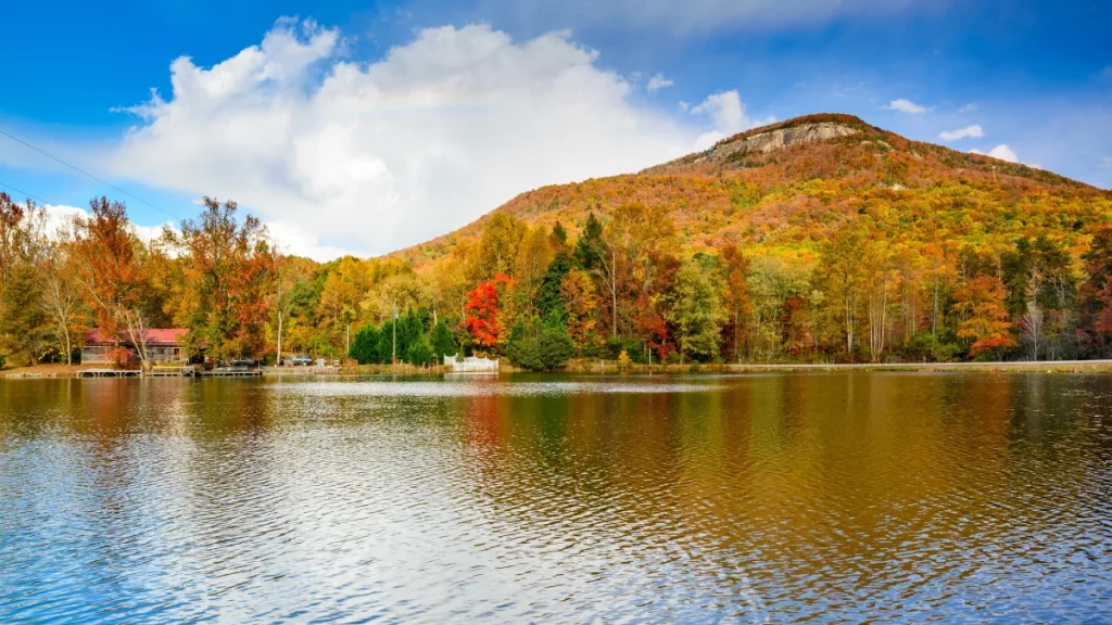car service from Atlanta Airport to Greensboro GA with sedans, SUVs, and limousines